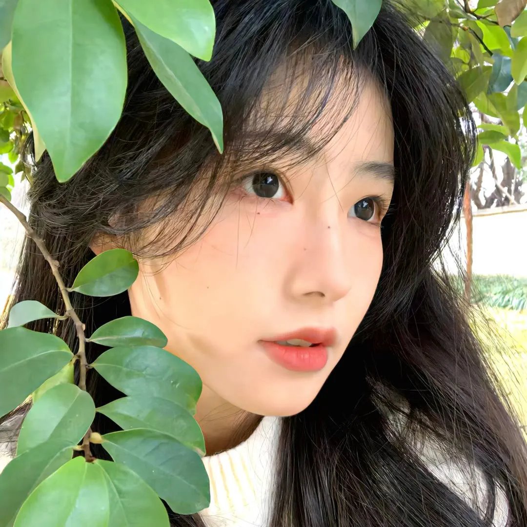 冬年